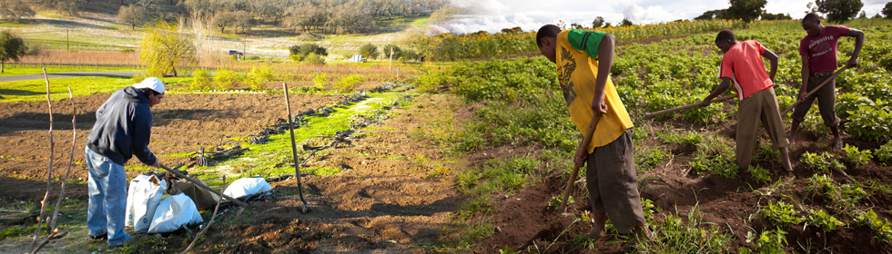 Farming Farming