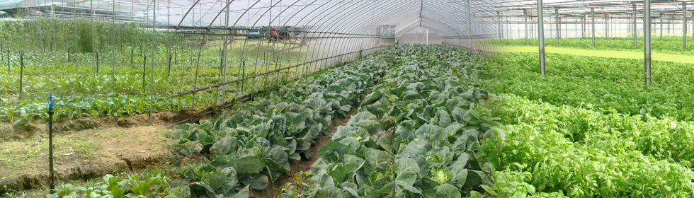 Farming Farming