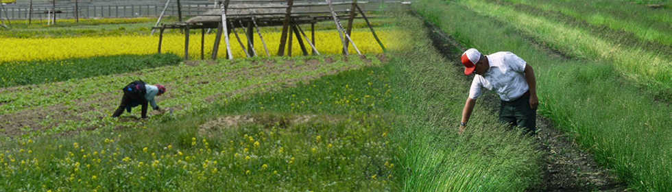 Farming Farming