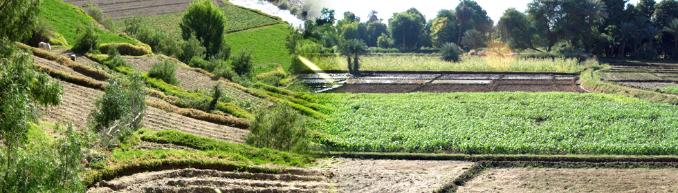 Farming Farming