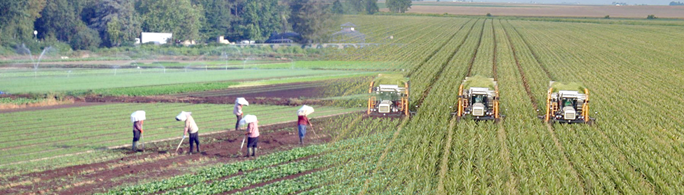 Farming Farming