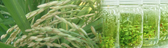 Biotechnology