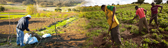 Farming