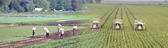 Farming